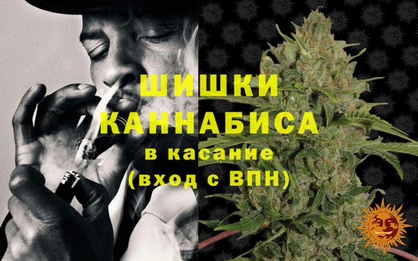 соль ск Струнино